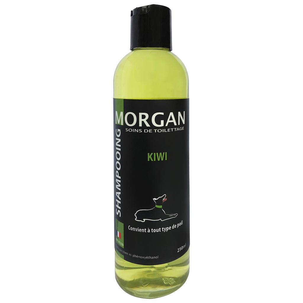 MORGAN SHAMPOOING KIWI 250ML
