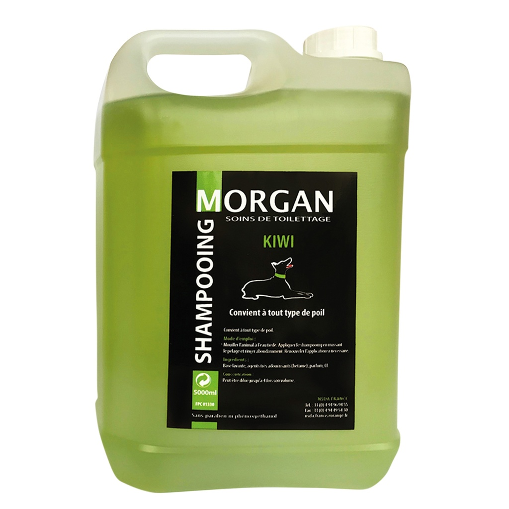MORGAN SHAMPOOING KIWI 5L