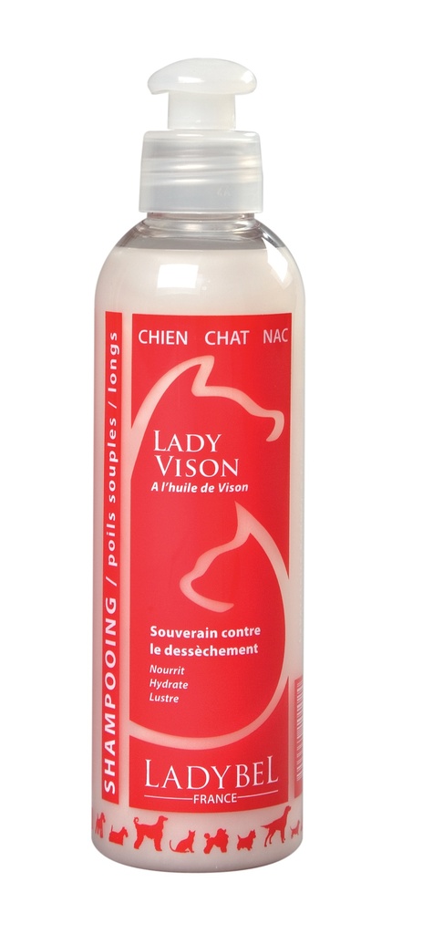 LADY VISON 200 ML