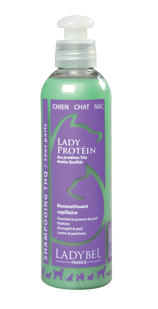 LADY PROTEINE 200 ML