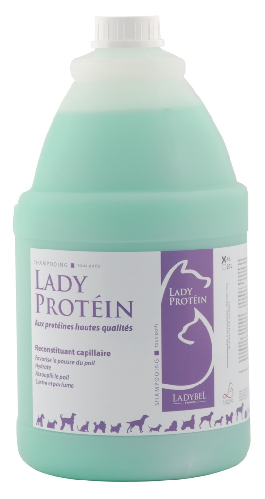 LADY PROTEINE 4L