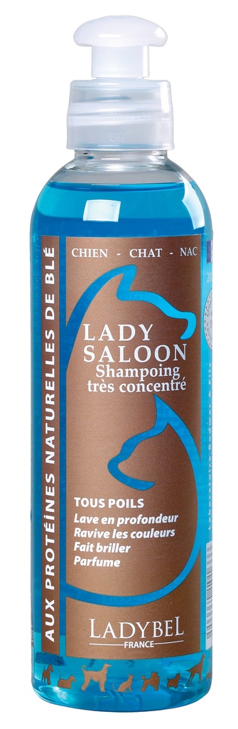 LADY SALOON PROTEINE 200ML