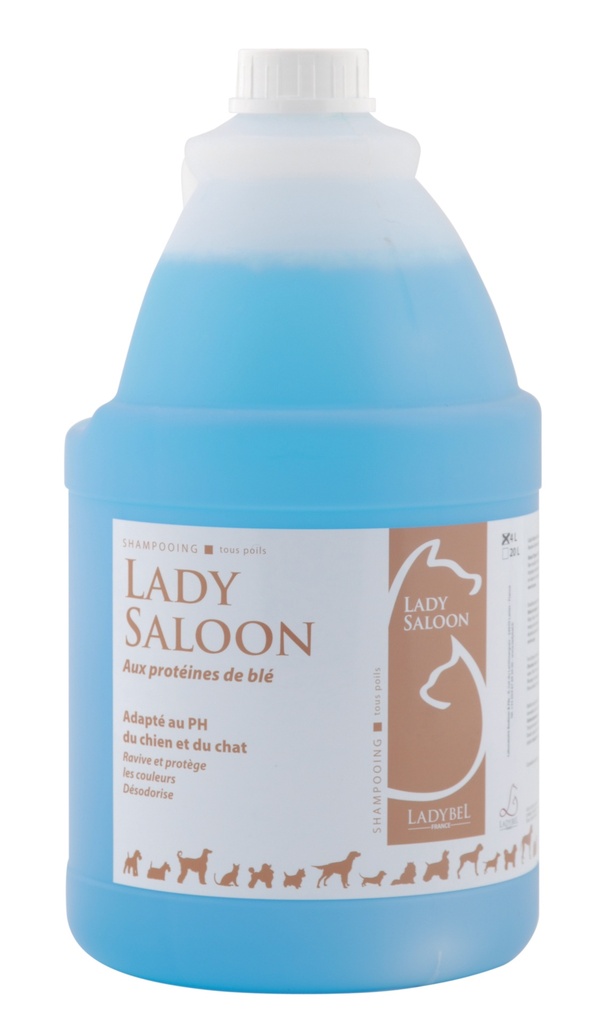LADY SALOON PROTEINE 4L