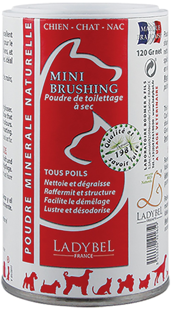 MINI BRUSHING POWDER 120G LADY BEL