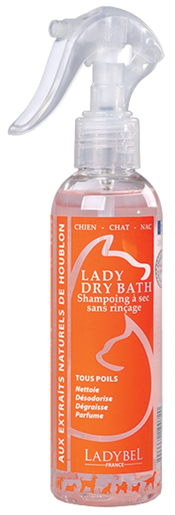 DRY BATH LOTION SANS RINCAGE 200ML