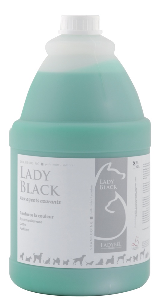 LADY BLACK 4L
