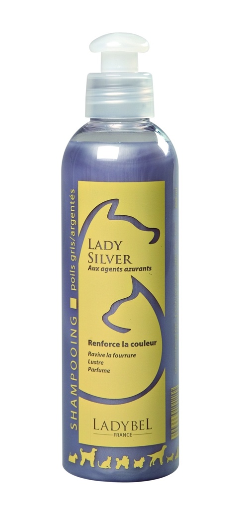 LADY SILVER (GRIS) 200 ML