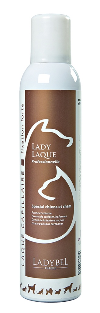LADY LAQUE 300 ML