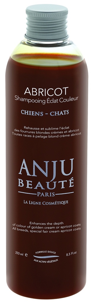 SHAMPOING ECLAT ABRICOT ANJU 250 ML
