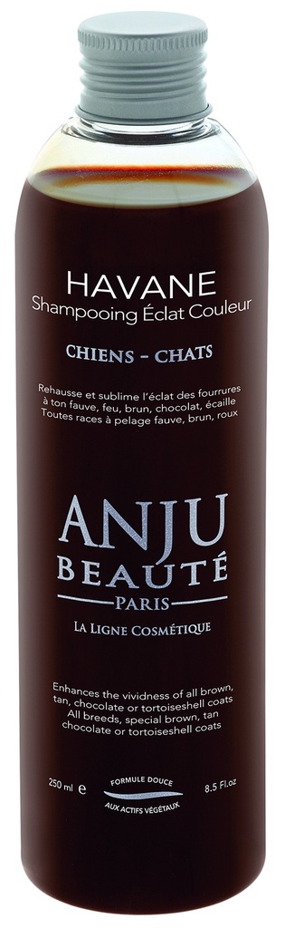 SHAMPOING ECLAT HAVANE ANJU 250 ML
