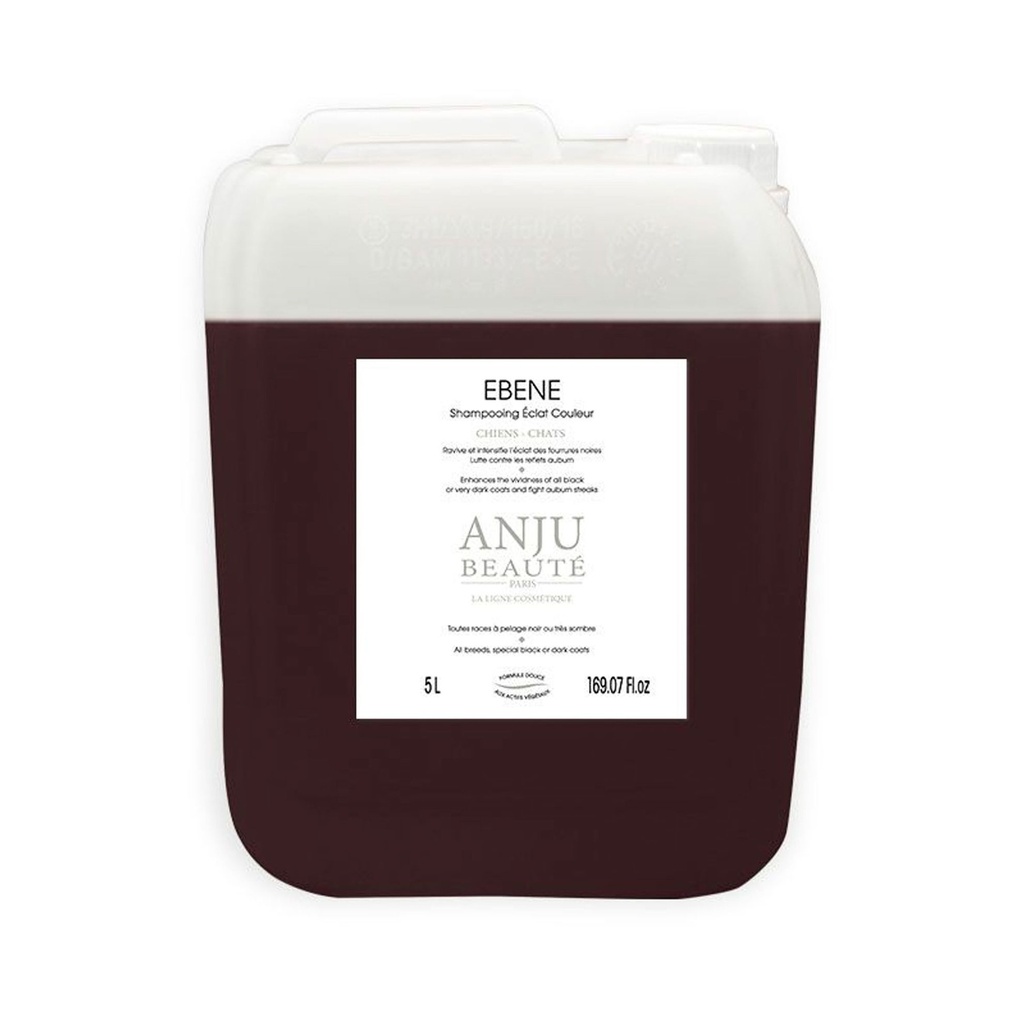 SHAMPOING ECLAT EBENE ANJU 5L