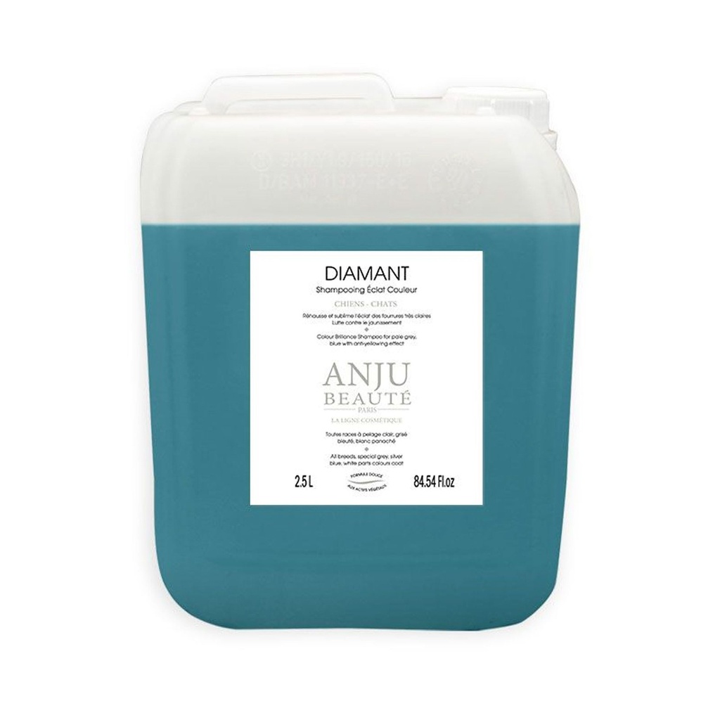SHAMPOING ECLAT DIAMANT ANJU 2.5L