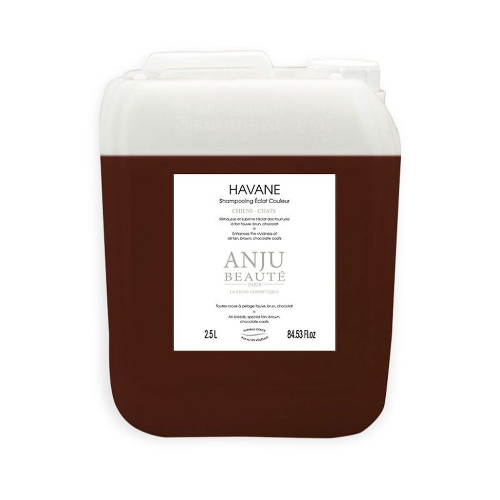 SHAMPOING ECLAT HAVANE ANJU 2.5L