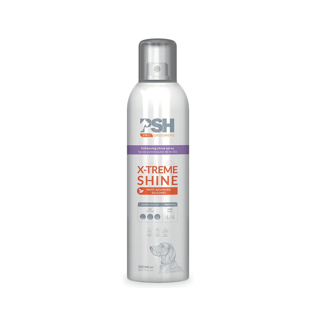 SPRAY FINITION BRILLANCE X-TREME SHINE PSH 300ML