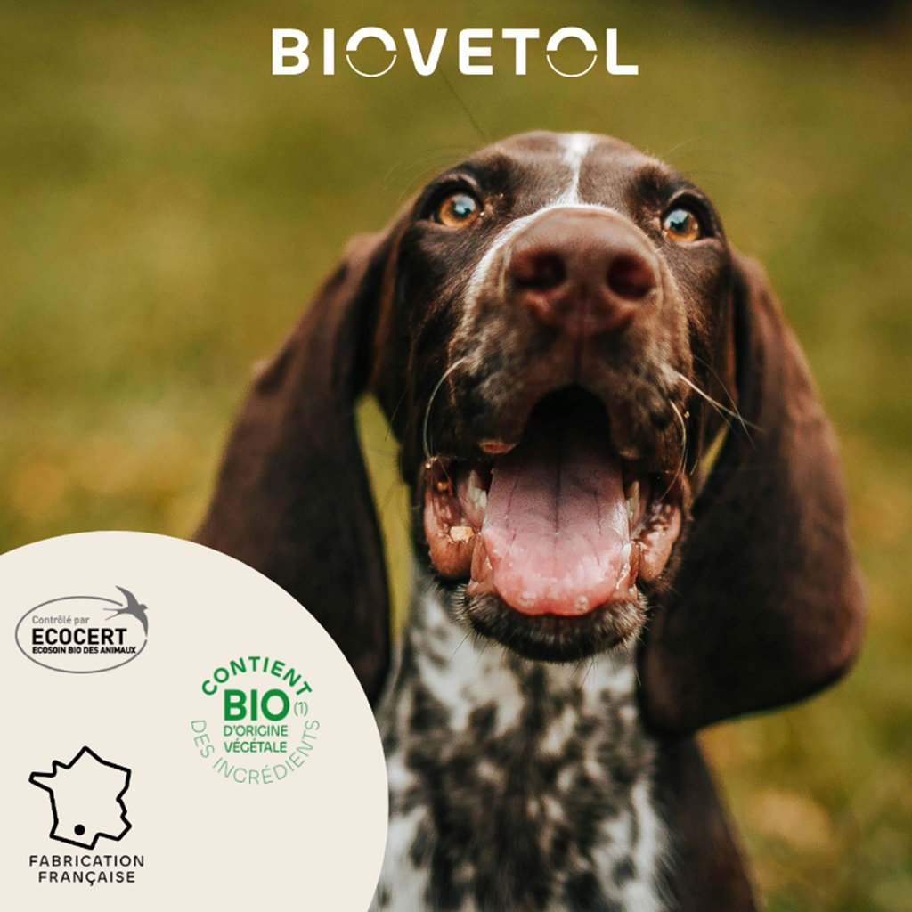 PIPETTES MOYEN CHIEN 3ML (X3) BIOVETOL