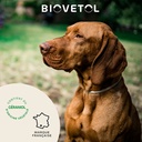 COLLIER GRAND CHIEN (75 CM MARRON) -1UNI BIOVETOL