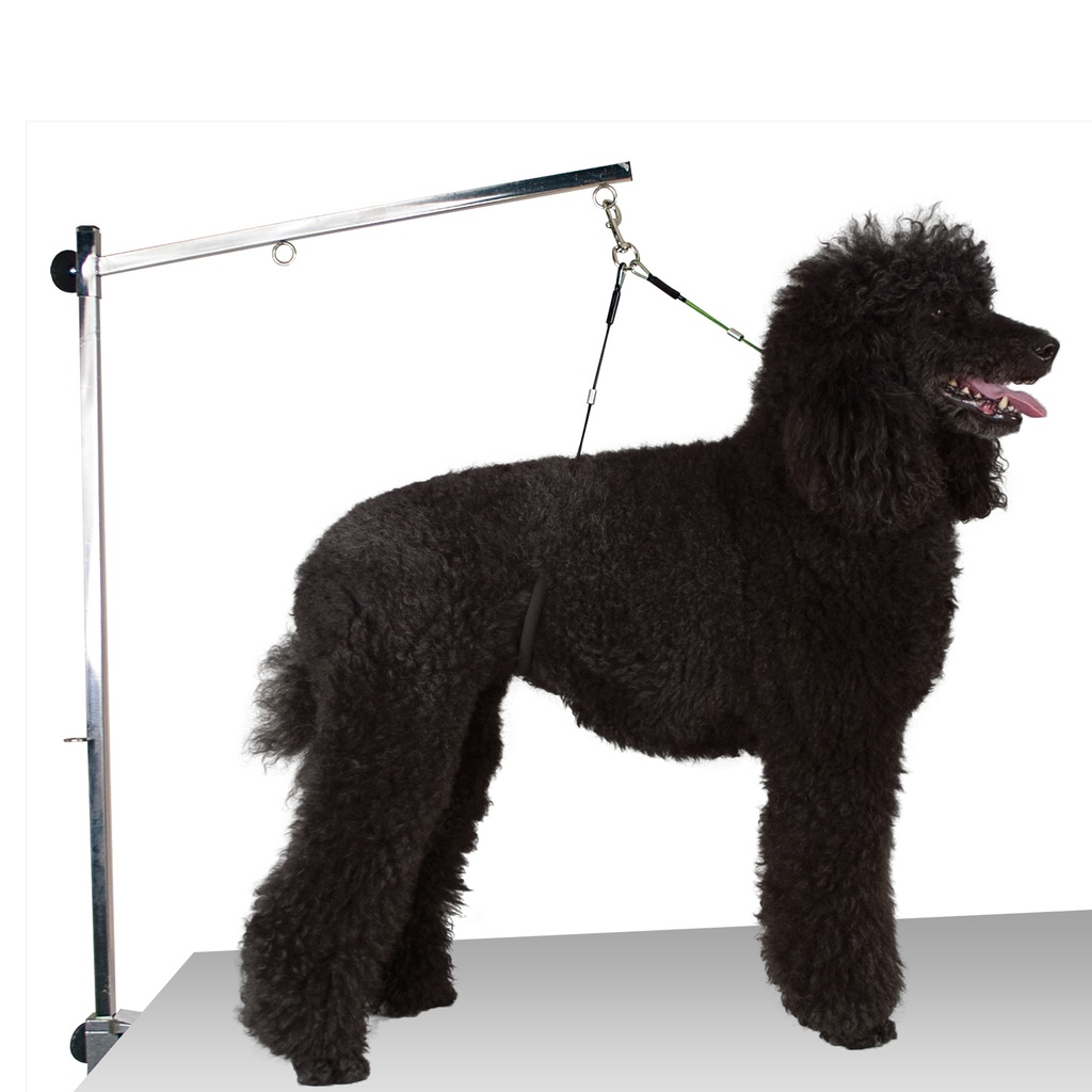 ATTACHE DOUBLE REGLABLE STANDARD