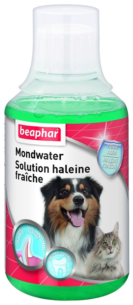 SOLUTION HALEINE FRAICHE BUCCAFRESH 250ML
