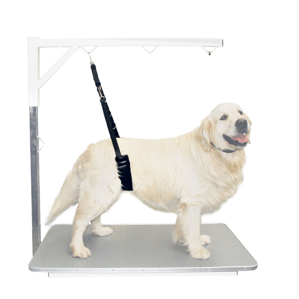 SANGLE VENTRALE CONFORT GRANDS CHIENS