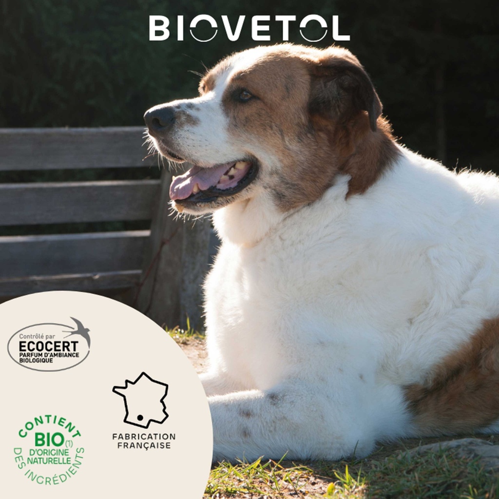 LOTION DESTRUCT'URINE CHIEN BIOVETOL 240ML