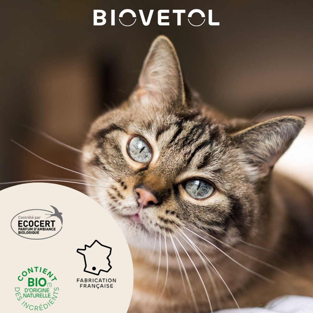 LOTION DESTRUCT'URINE CHATON ET CHAT BIOVETOL 240ML