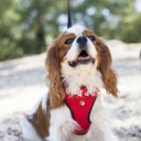 HARNAIS TSHIRT RELAX GOOD DOG ROUGE TXS