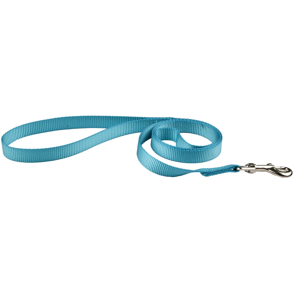 LAISSE AIR MESH TURQUOISE 15MM X 1,20M