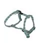 HARNAIS BRASIL TURQUOISE TM 42-70CM X 20MM DEREF