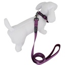 COLLIER CLASSICA VIOLET TXS 23-32CM X 16MM DEREF