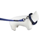 COLLIER CLASSICA BLEU MARINE TXS 23-32CM X 16MM