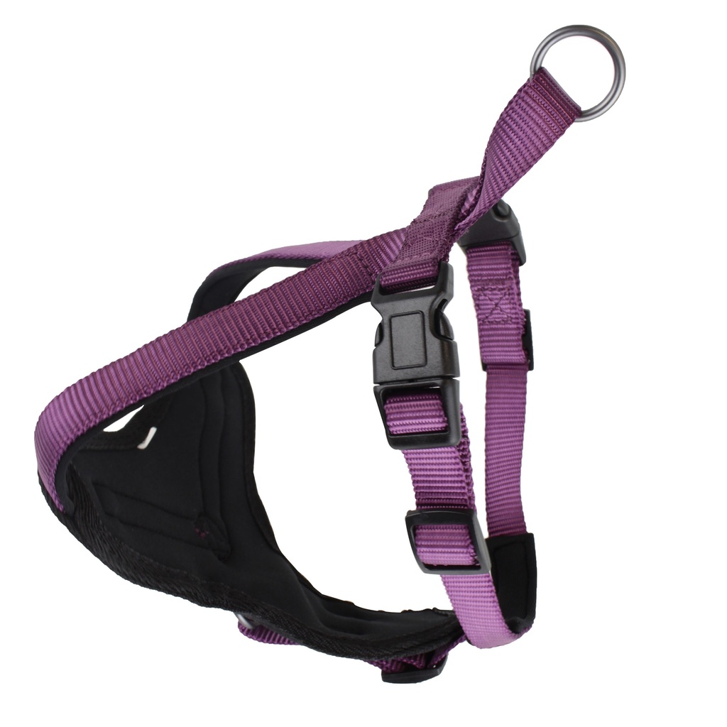 HARNAIS CLASSICA VIOLET TS 32-46CM X 15MM DEREF