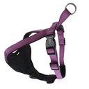 HARNAIS CLASSICA VIOLET TS 32-46CM X 15MM DEREF