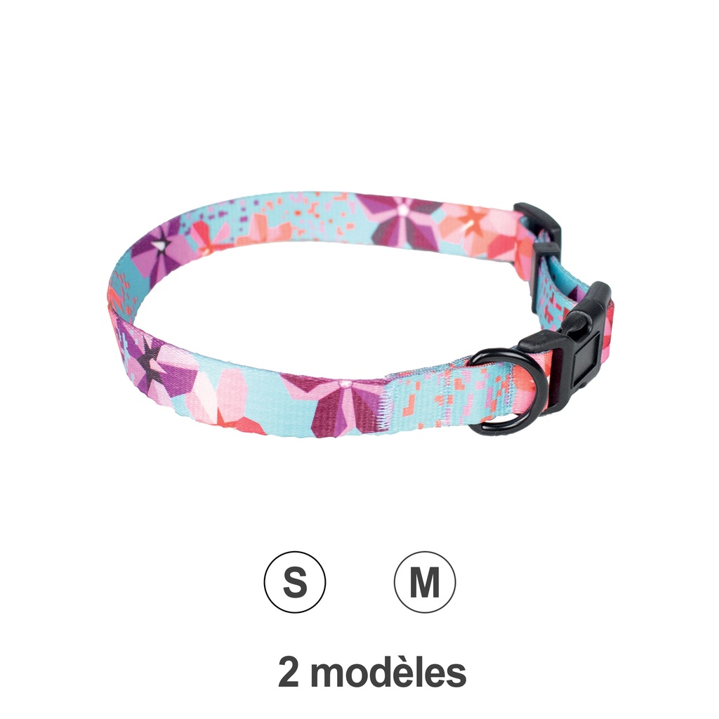 COLLIER PARADISE CHIEN S 22-35cm