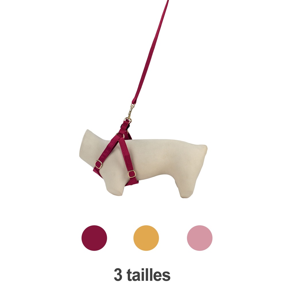 HARNAIS SO SWEETY ROUGE XS 27-37CM X10MM