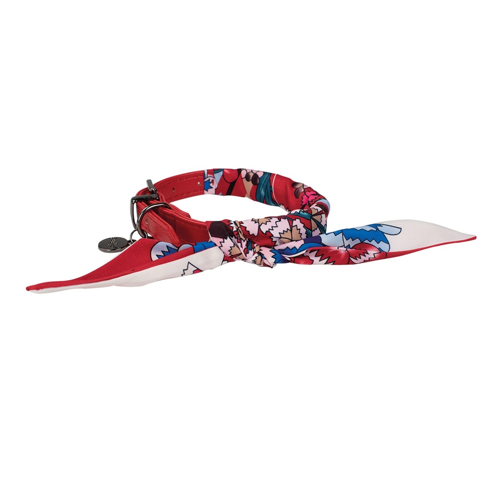 COLLIER CHIEN SO CHIC T30 21-26CM X 15MM ROUGE DEREF
