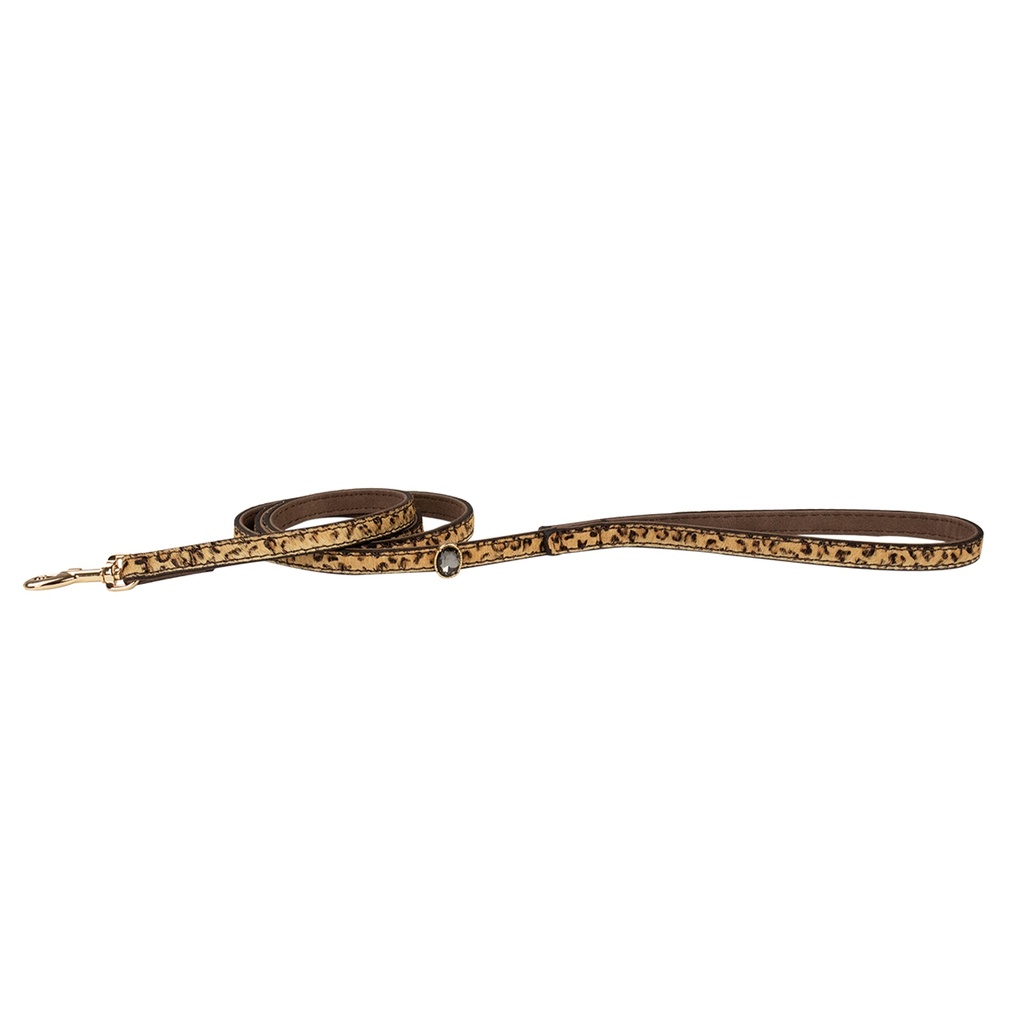 LAISSE * FONCE * SO WILD 1.2MX12MM DEREF
