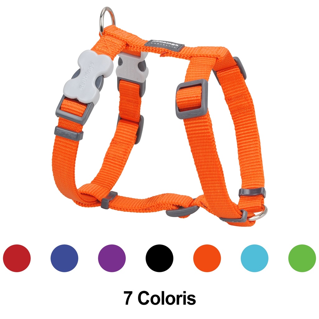 HARNAIS RED DINGO 29-46 CM 12MM ROUGE