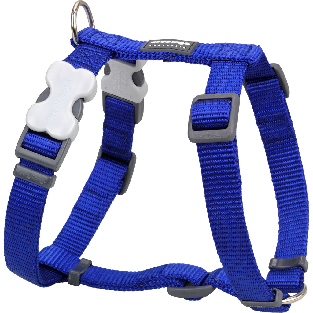 HARNAIS RED DINGO 29-46 CM 12MM BLEU