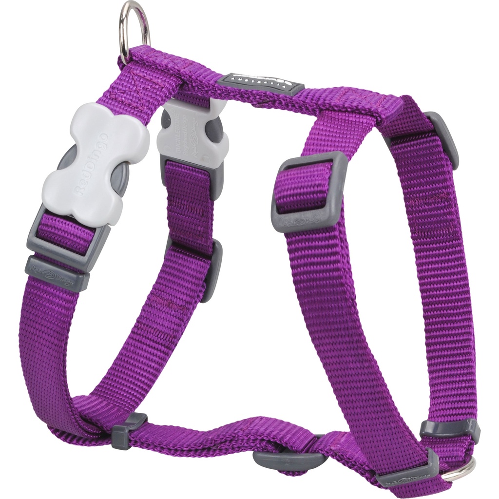 HARNAIS RED DINGO 29-46 CM 12MM VIOLET