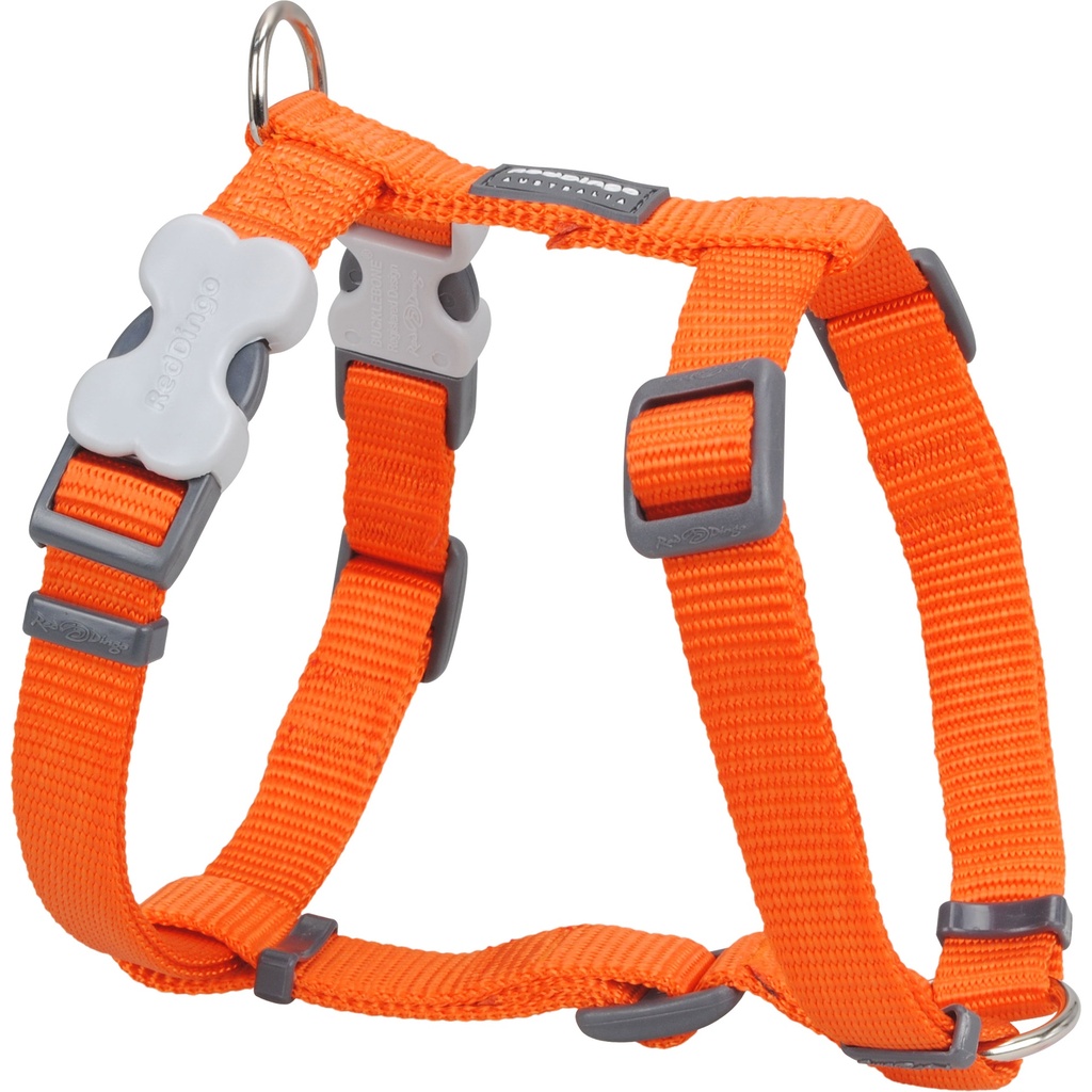 HARNAIS RED DINGO 29-46 CM 12MM ORANGE
