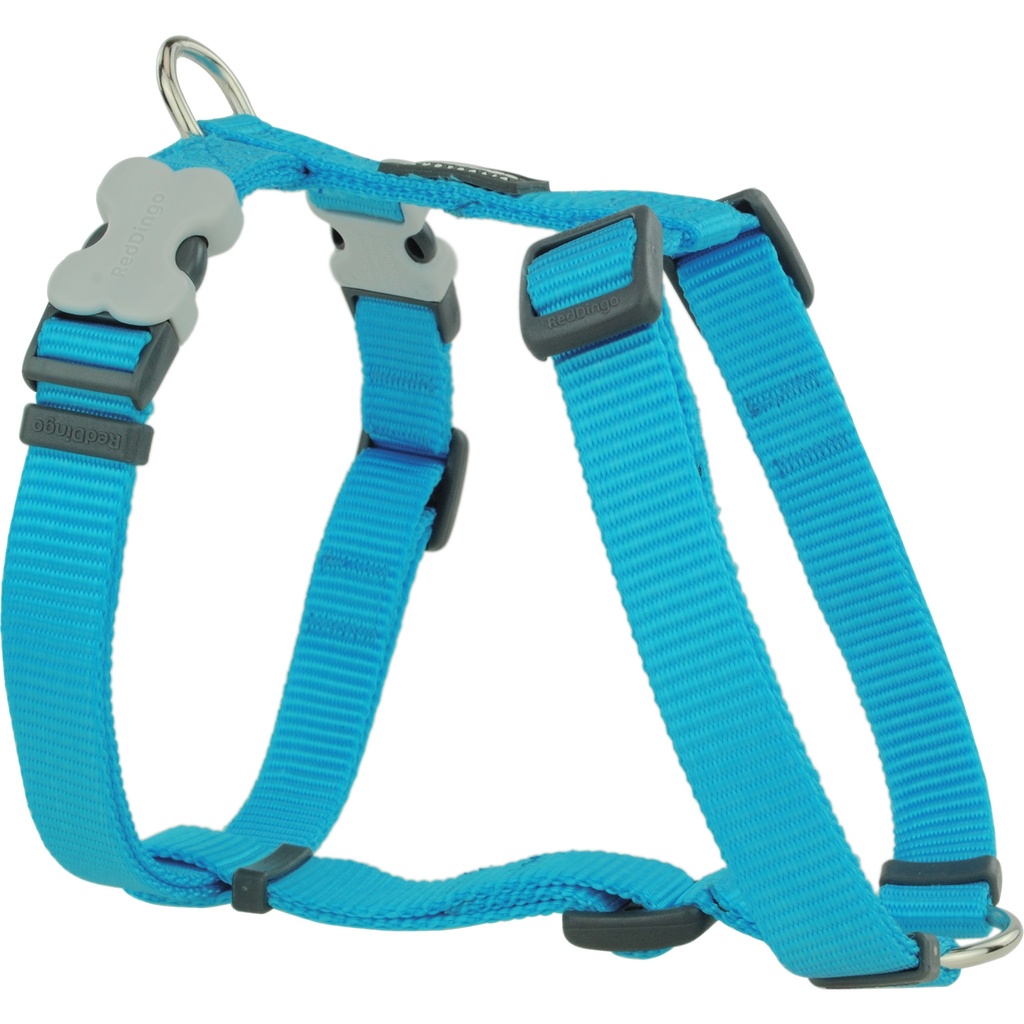 HARNAIS RED DINGO 30 A 42 CM X 12 MM TURQUOISE