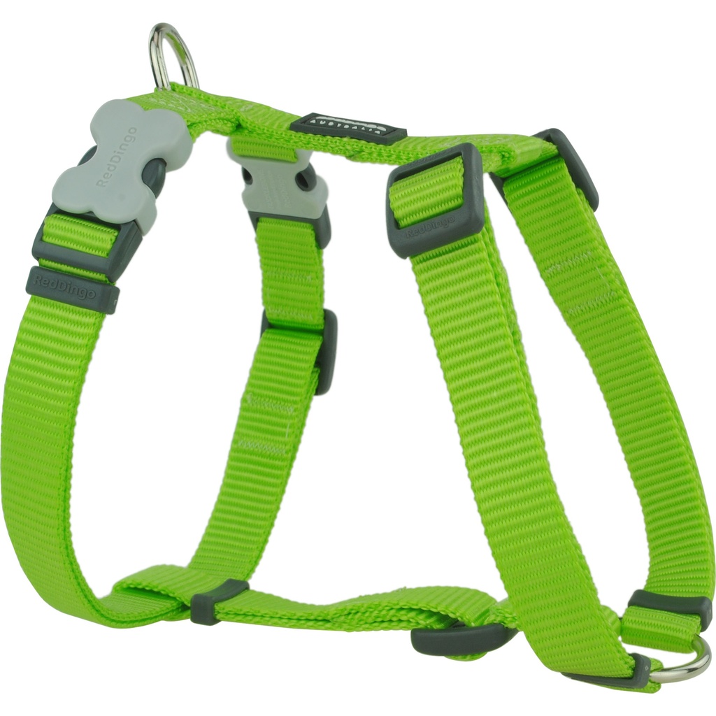 HARNAIS RED DINGO 30 A 42 CM X 12 MM VERT