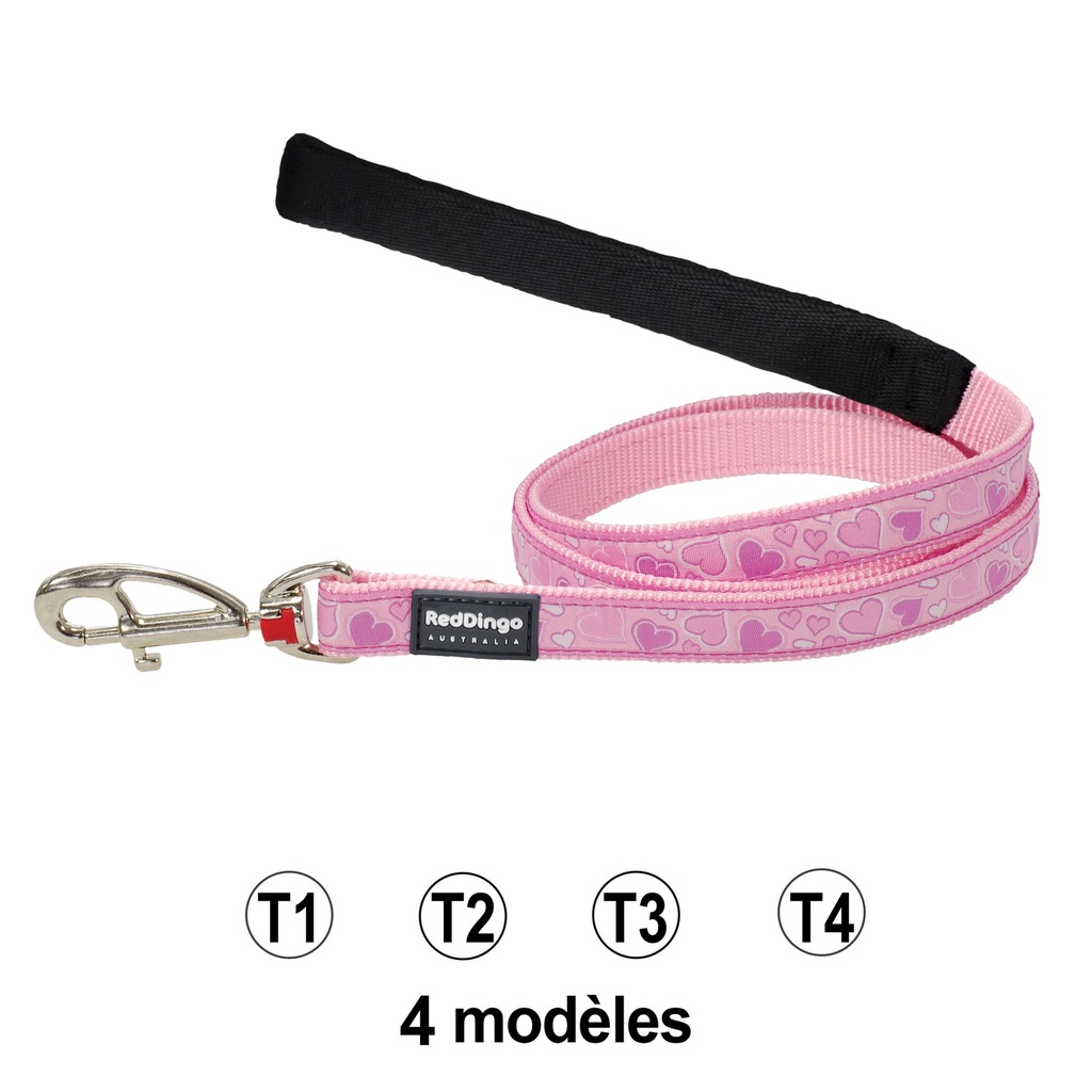 LAISSE RED DINGO 1M20 - 12 MM BREEZY LOVE ROSE