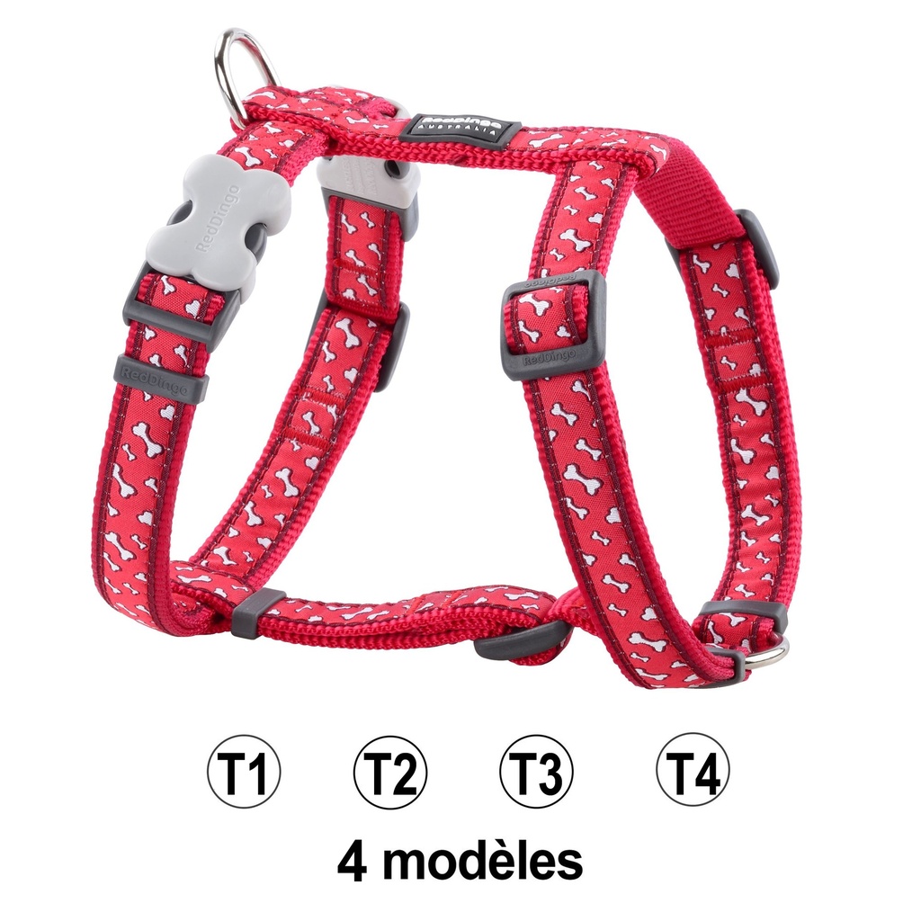 HARNAIS ROUGE FLYING BONE 30-44CM 12MM