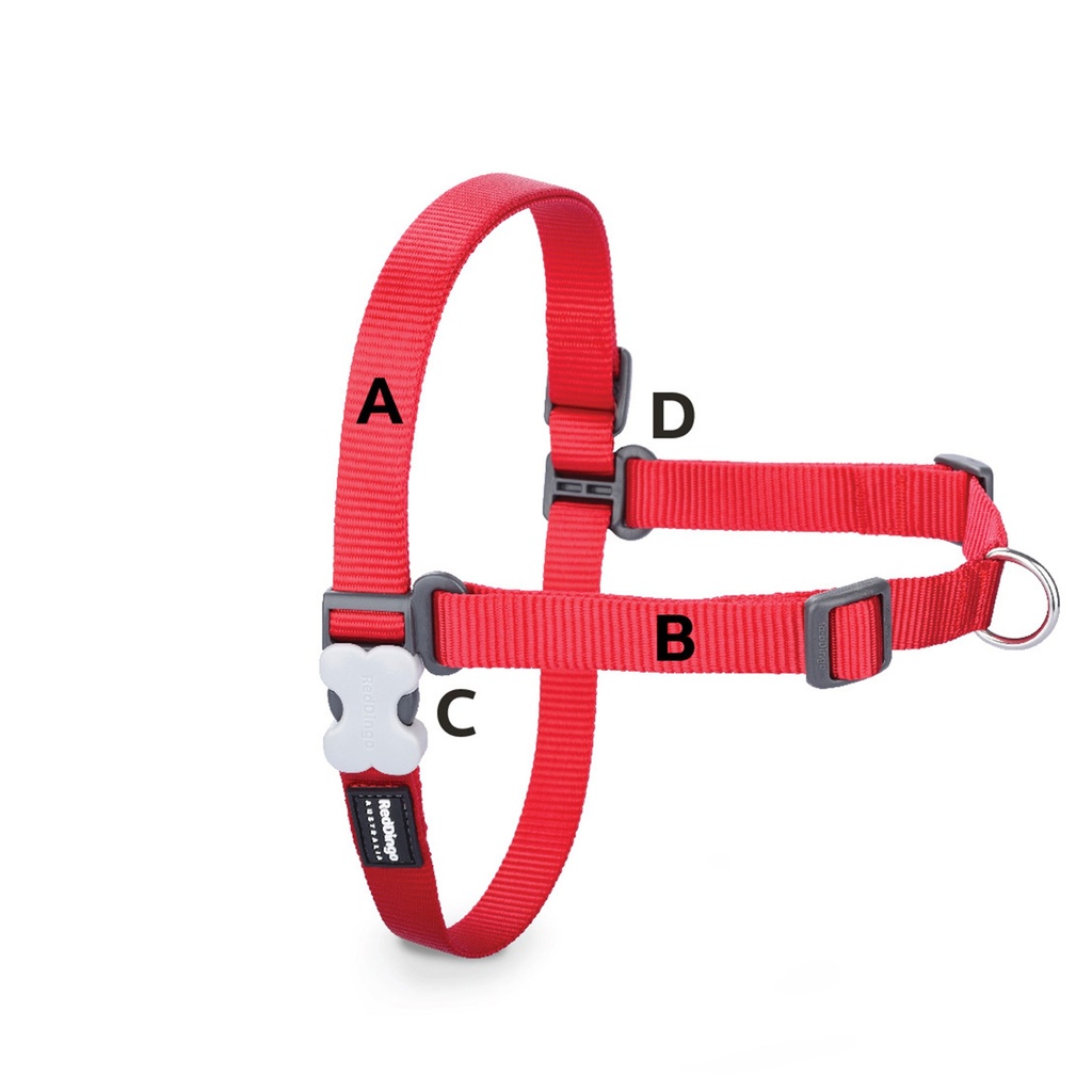HARNAIS ROUGE NO PULL S 15MM / 36-50CM