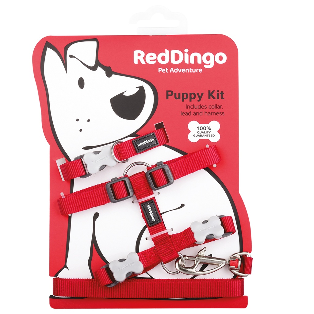 PACK CHIOT CLASSIQUE ROUGE tour cou : 21-35cm laisse :1,2m