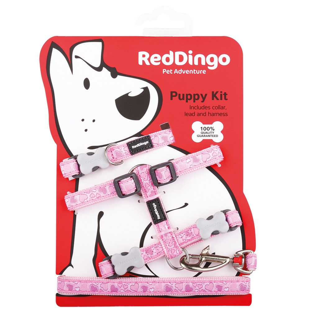 PACK CHIOT BREEZY LOVE ROSE tour cou : 21-35cm laisse :1,2m