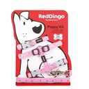 PACK CHIOT BREEZY LOVE ROSE tour cou : 21-35cm laisse :1,2m