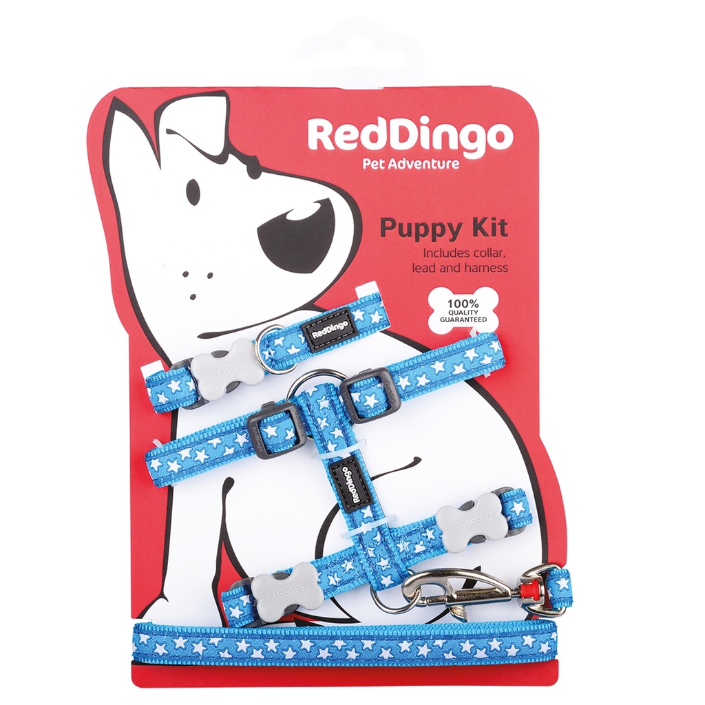 PACK CHIOT BLEU ETOILES BLANCHES tour cou : 21-35cm laisse :1,2m