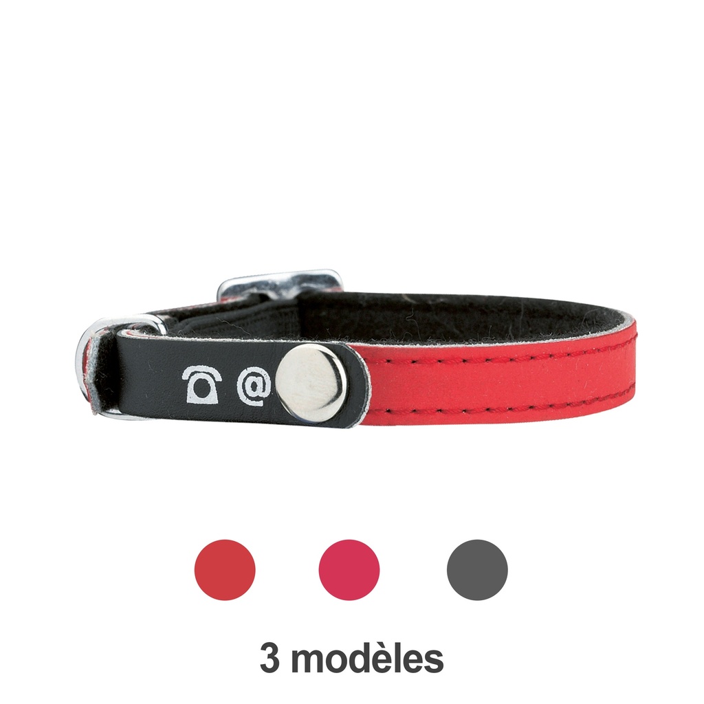 COLLIER CUIR CHAT PORTE ADRESSE ROUGE 30 CM 10 mm